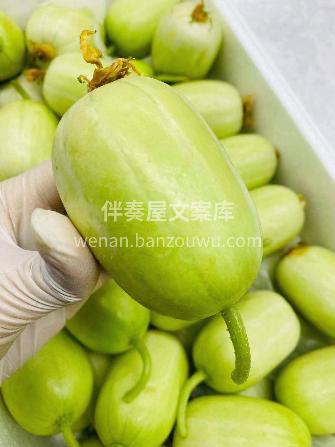🥒表里如一的玉色果肉，莹润剔透，增添了几 配图1
