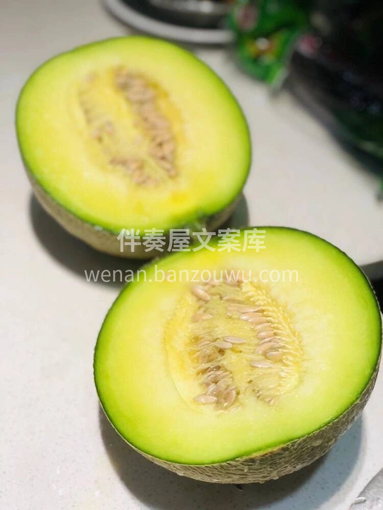 ?海南网纹瓜??犹如树上的“冰淇淋”?独 配图2