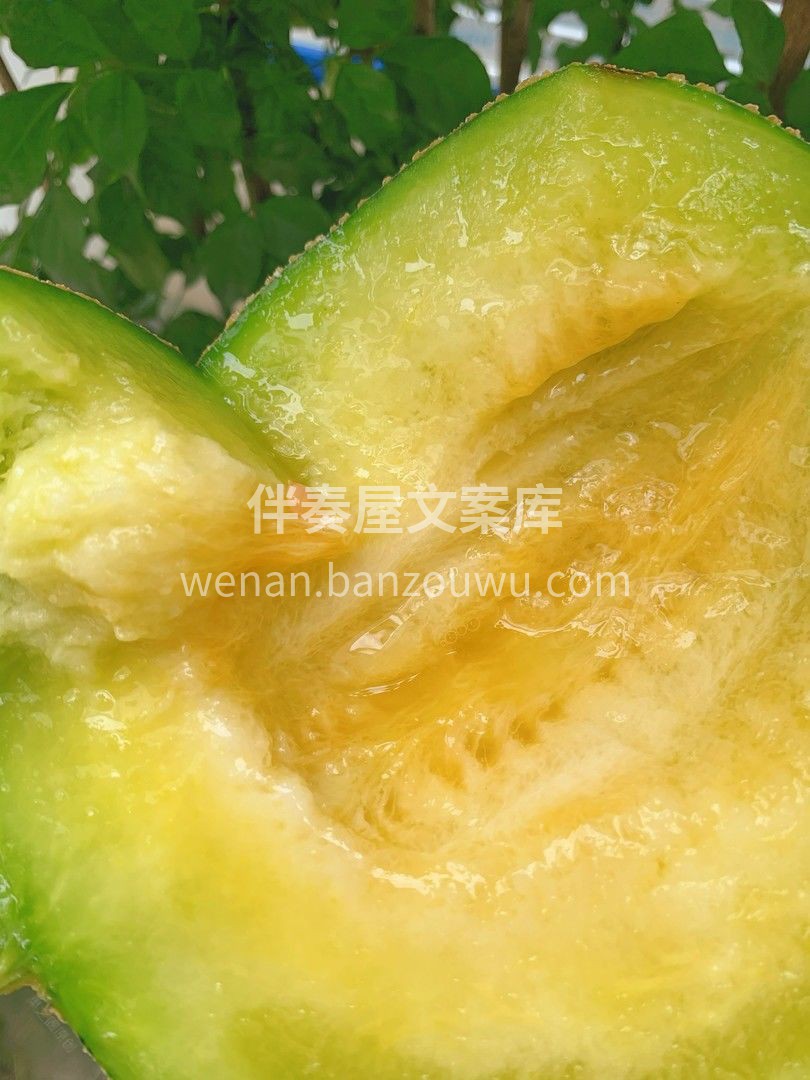 👉只要你吃过这颗网纹瓜，都会感叹于它的🍦 配图2