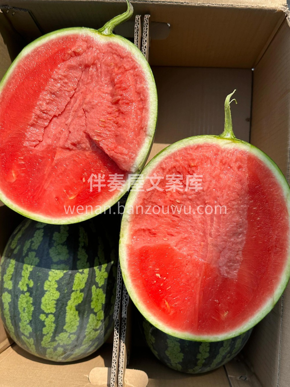 ☀️炎炎夏日，必须靠无籽西瓜续命！ 沙瓤 配图3