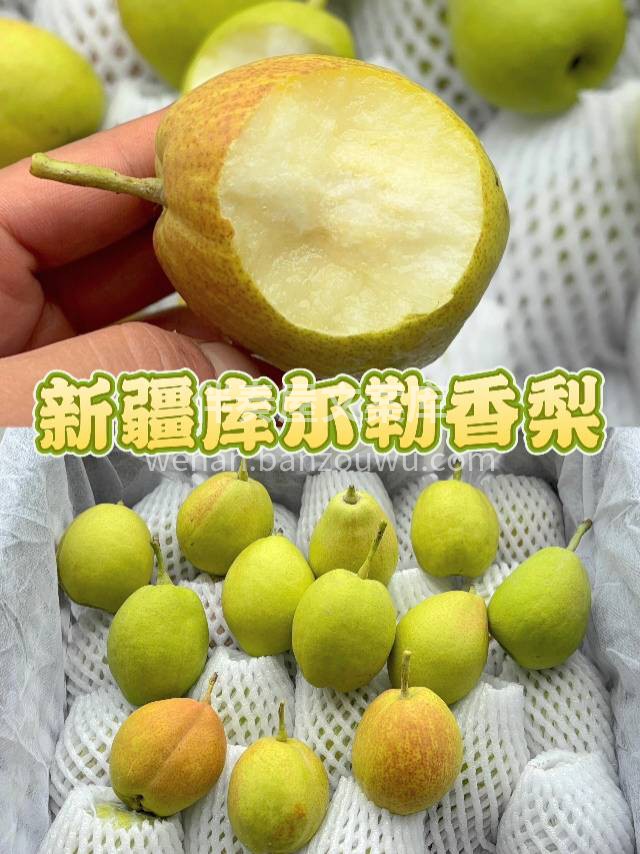 正宗库尔勒香梨🍐🆕 脆嫩多汁😍核小肉嫩， 配图2