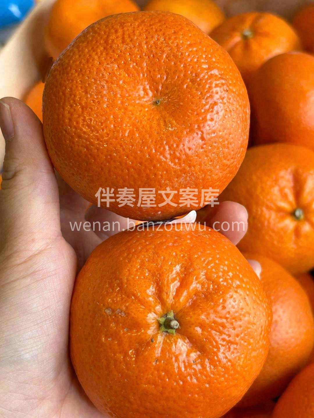 轻轻剥开软软的皮🍊 “呲” 喷到嘴唇上👄 配图2