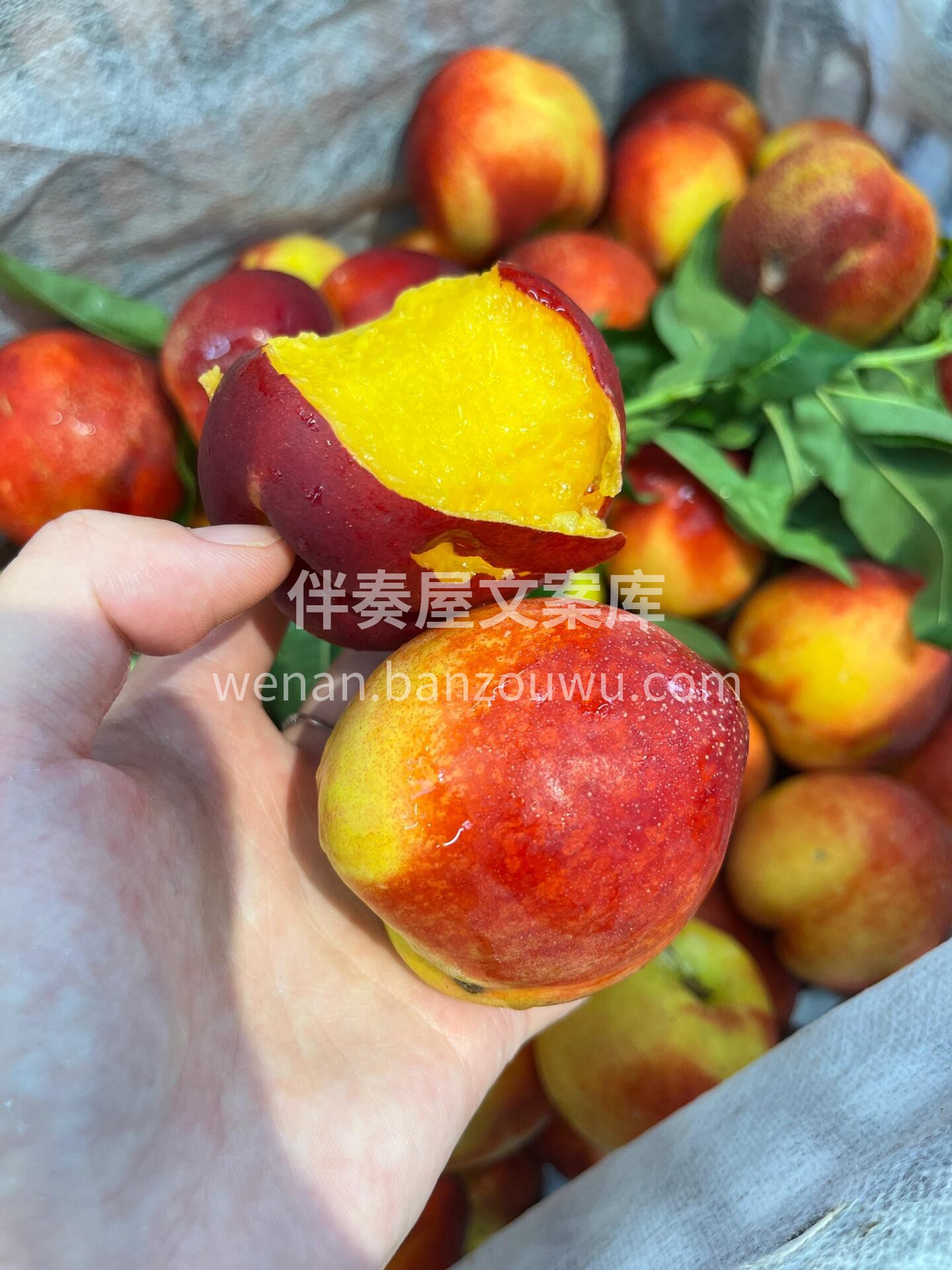 🥰红油桃最新到货‼️ 🍑光滑无毛，吃起来 配图3