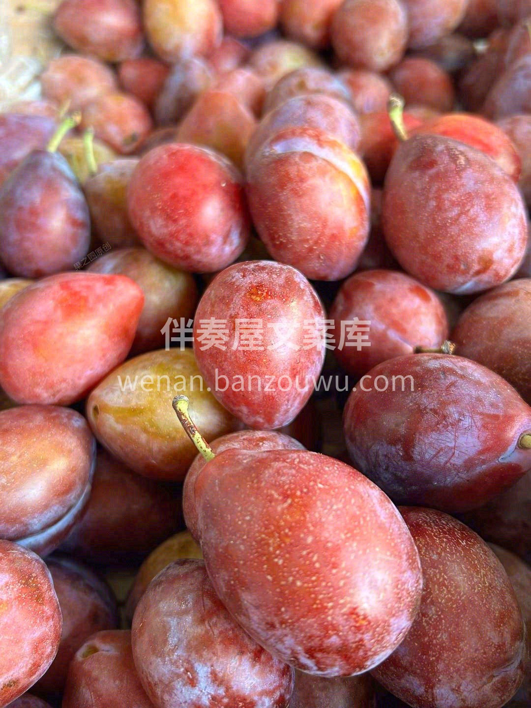 琥珀色肉质💜，口感甜蜜蜜✨！ 这个春天， 配图3