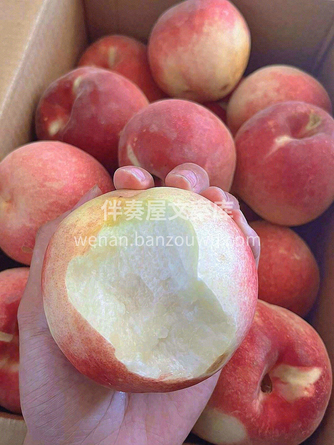 甜掉牙的金秋蜜桃🍑，挂树时间长，历经的风 配图2