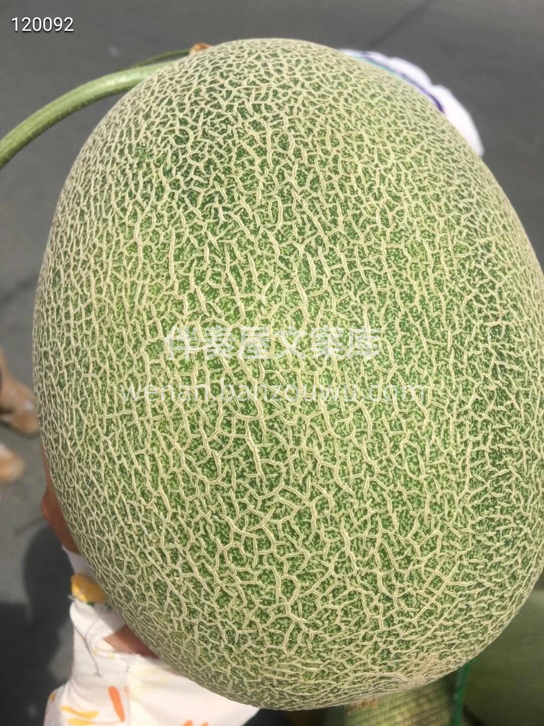 🍈海南西州蜜瓜25号，脆脆甜甜🍭 瓜瓤上 配图3
