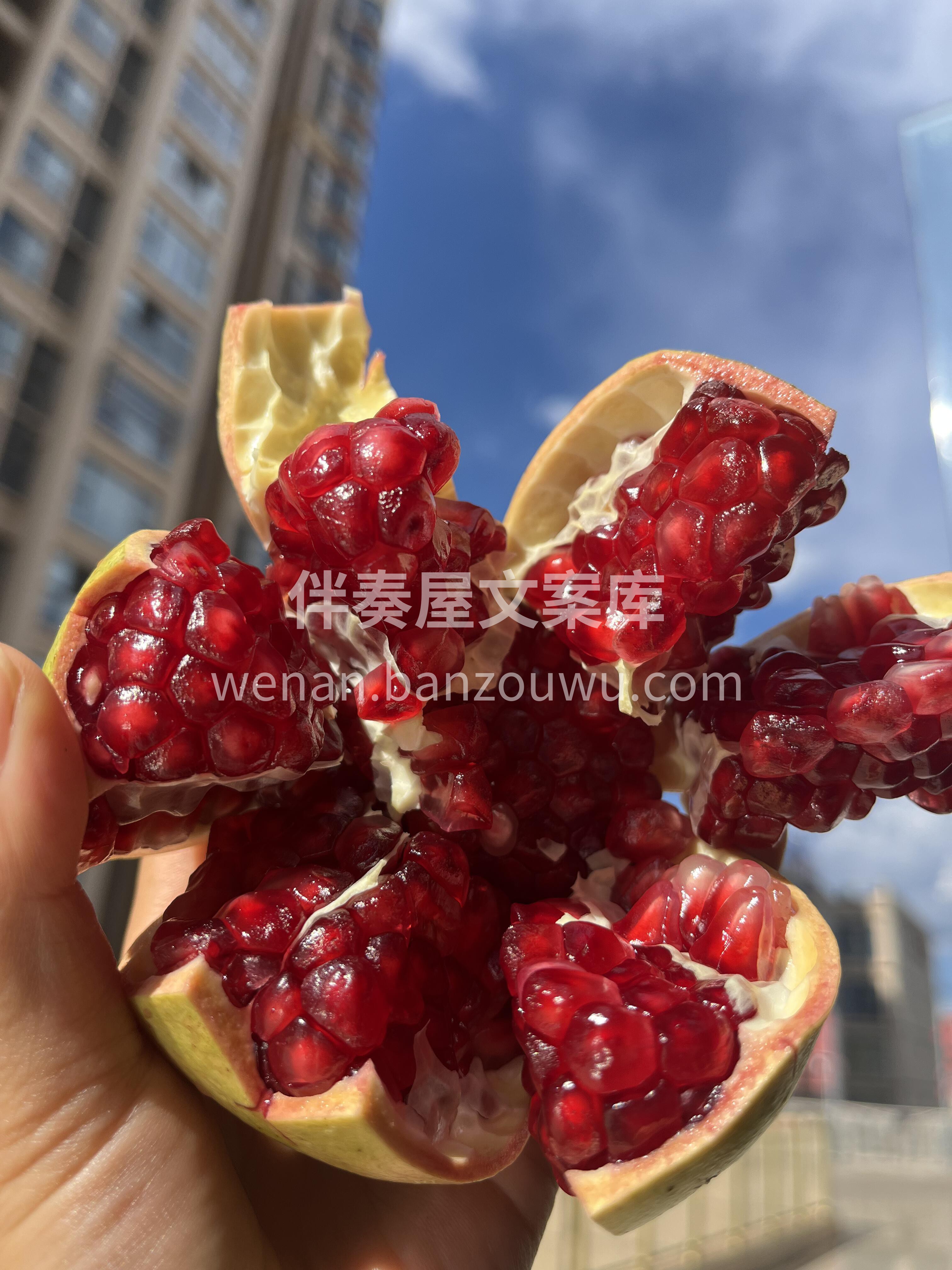 藏在秋天🍂里的甜蜜💕 突尼斯软籽石榴❤️ 配图3