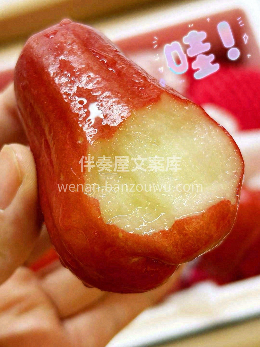 家里有人抽烟💭，如果实在劝不住，莲雾就给 配图1