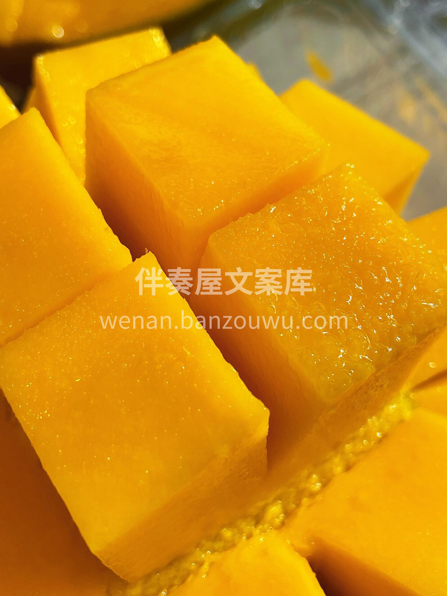 🌻『凯特芒🥭』 硕大的体型极具安全感💪  配图2