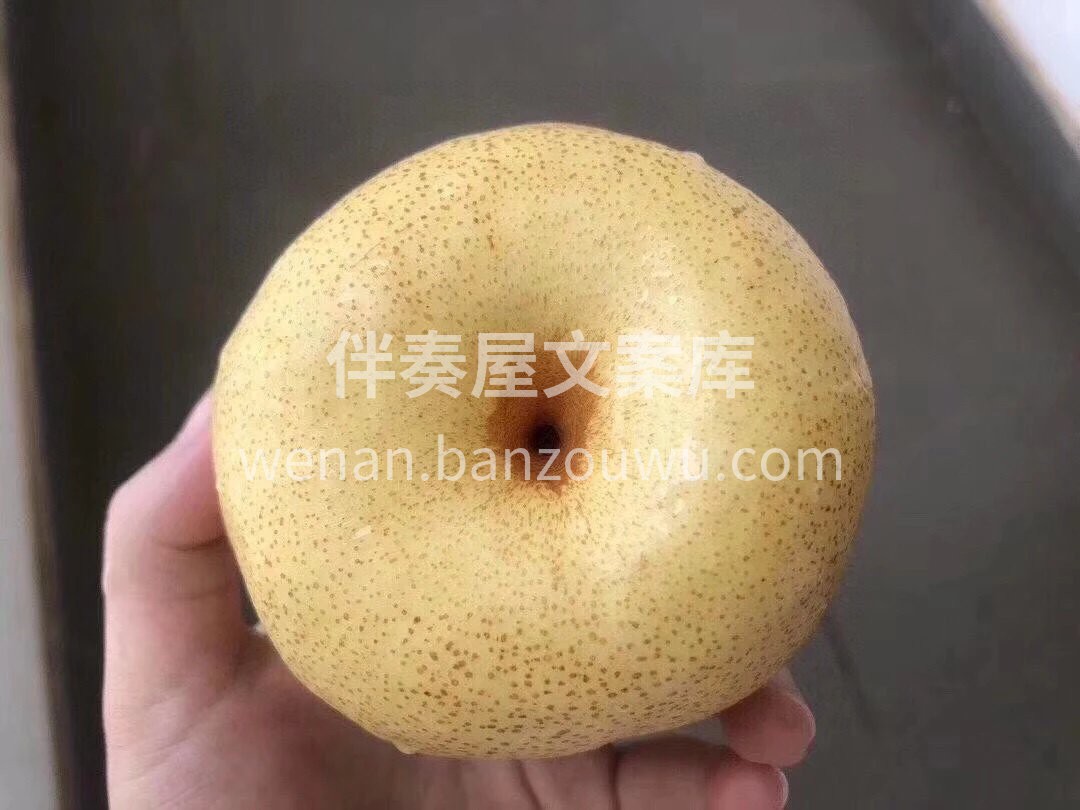 🔴千年佳果，砀山酥梨 👍八百年黄河流经留 配图3