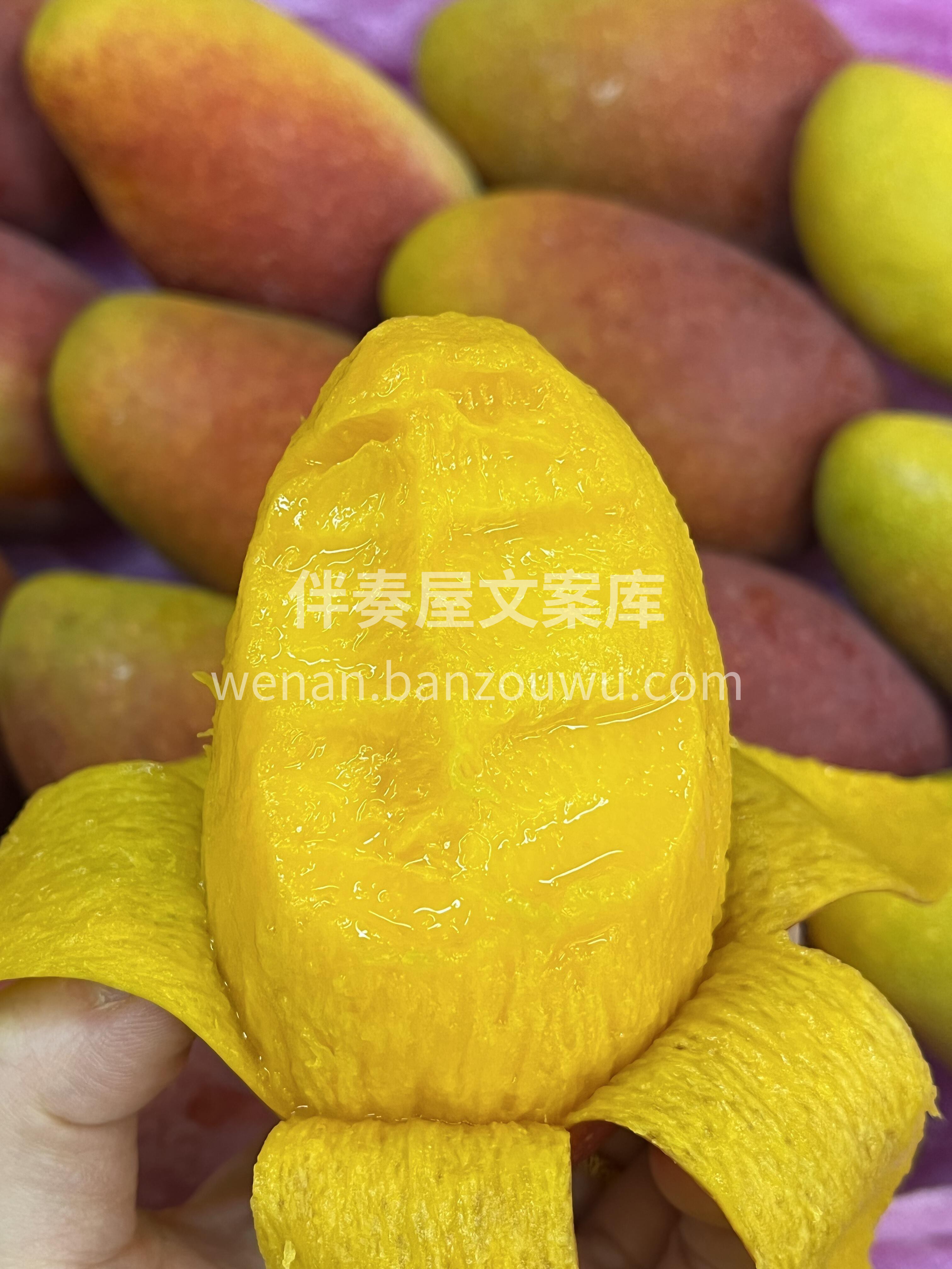 🥭 贵妃芒！ 🌈 海南树上熟，彩虹表皮  配图1