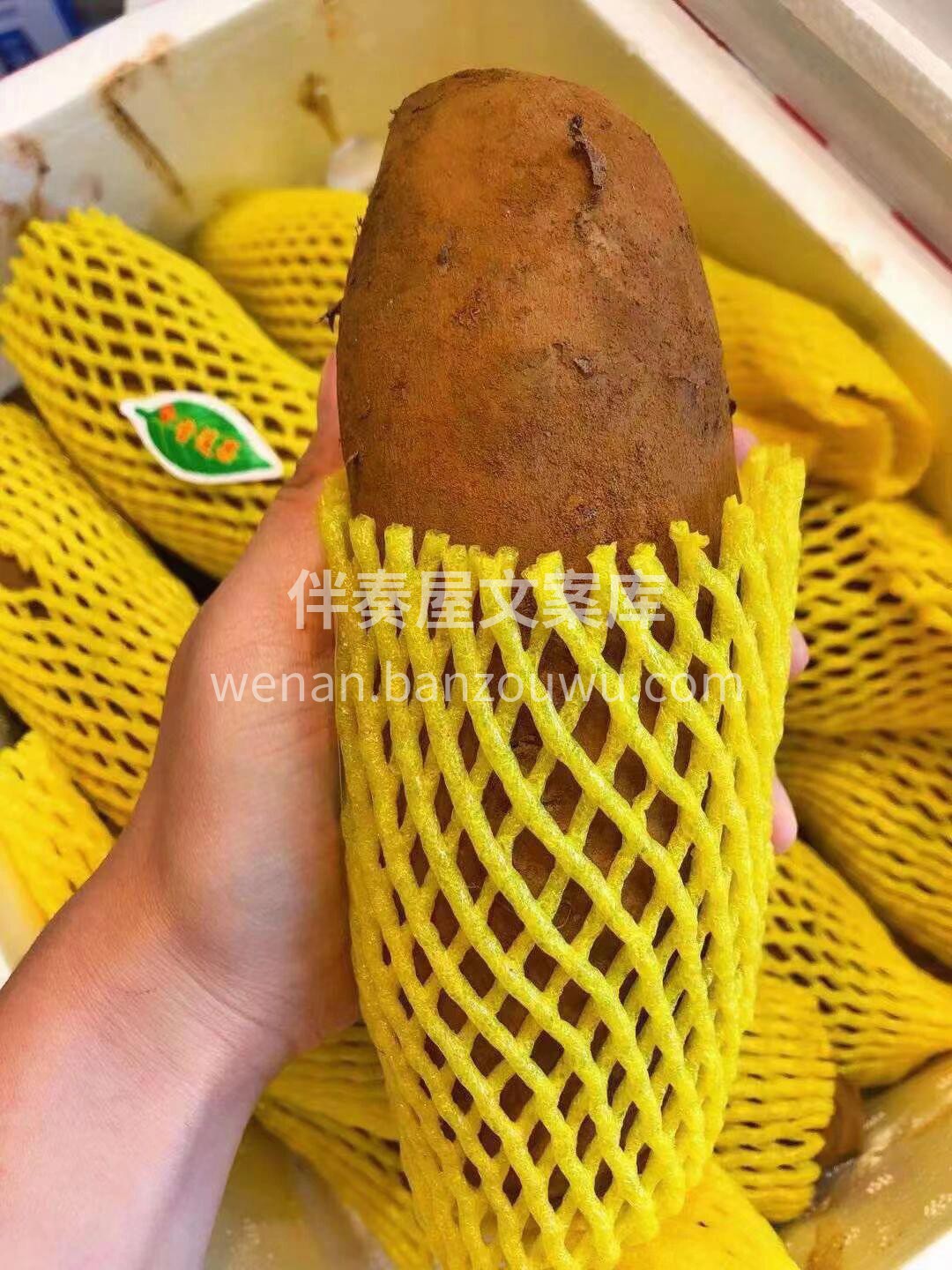 天山雪莲果上新🤍，肉脆果白，果味清香！清 配图2