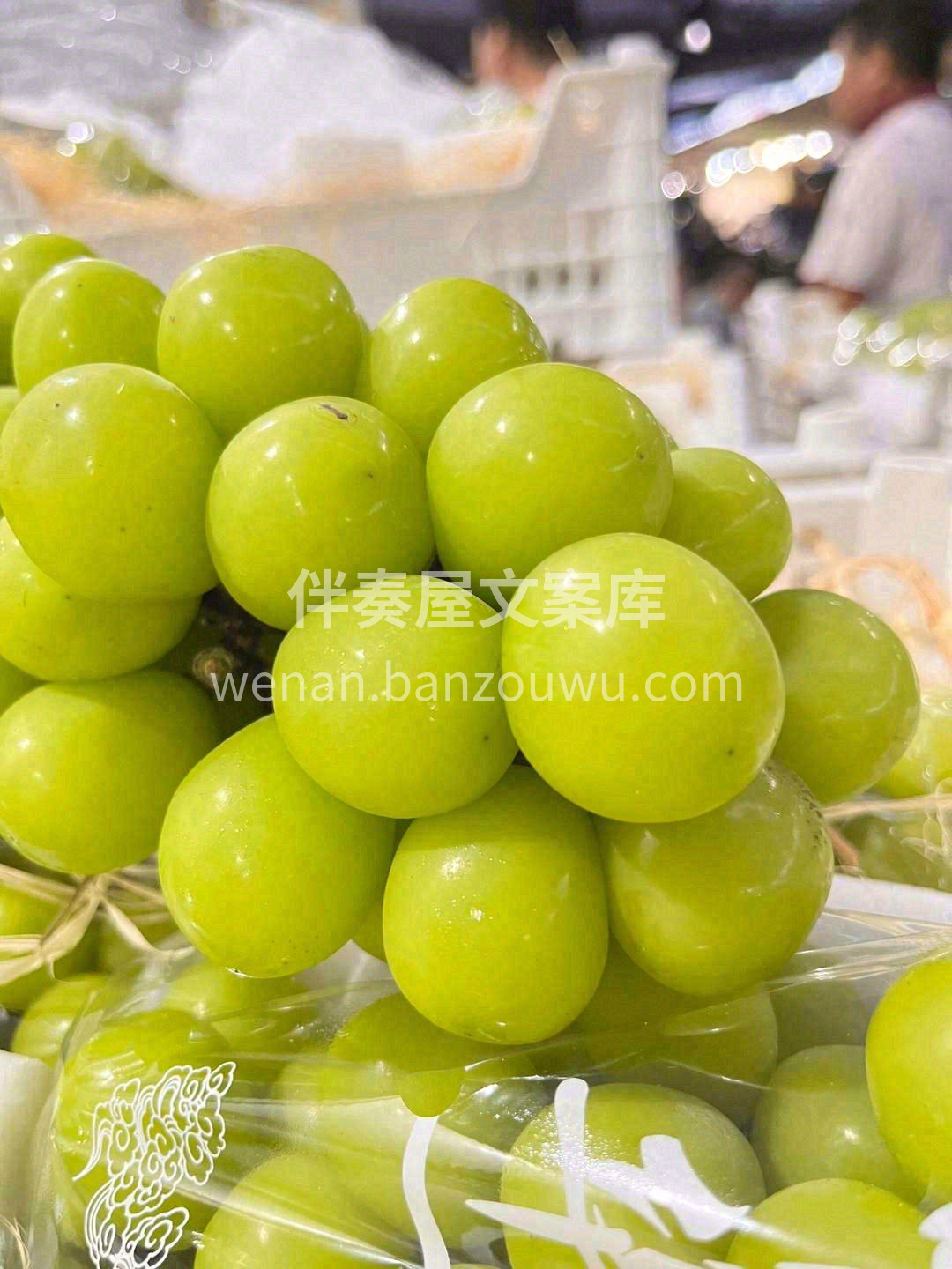 青提中的爱马仕🎠🎠 集清香🌼，果香🍇，花 配图1