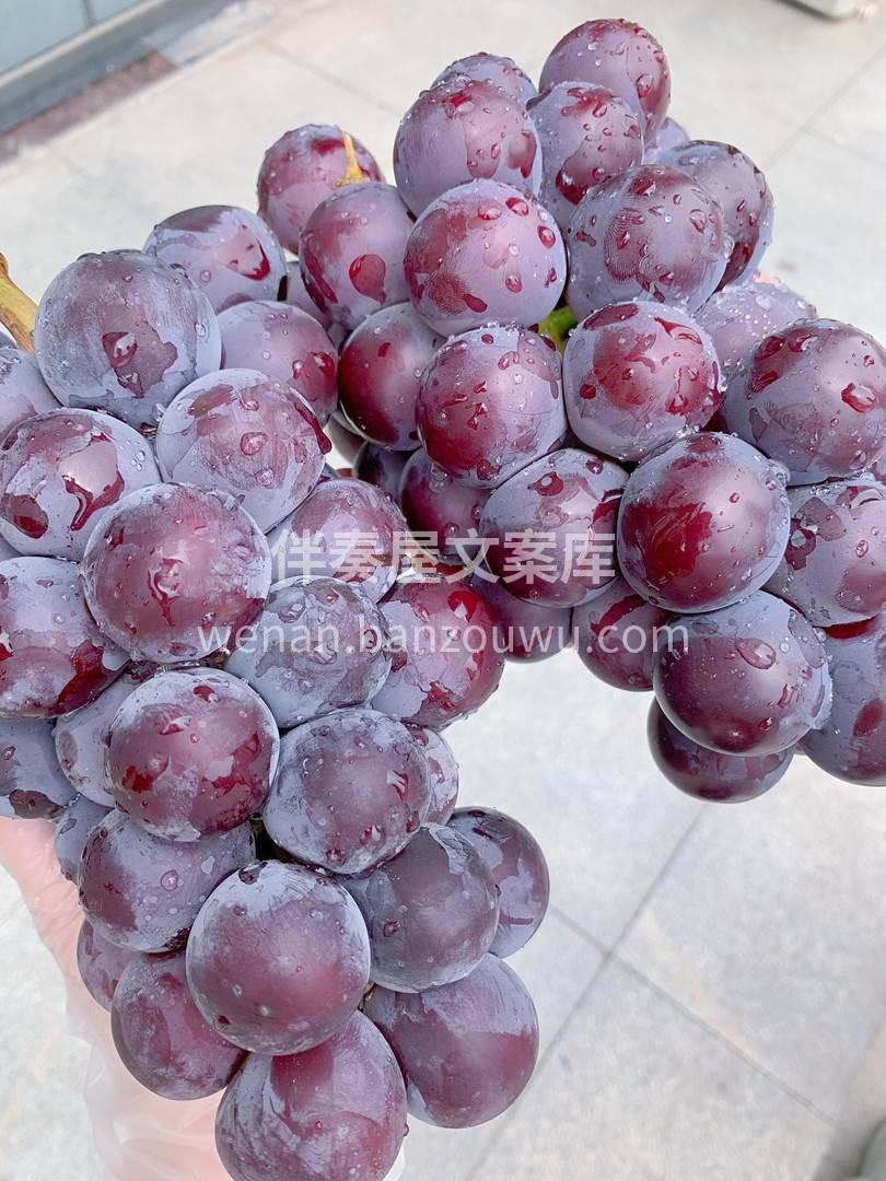 🙆多吃葡萄可补气、养血、在夏日食欲不佳时 配图2