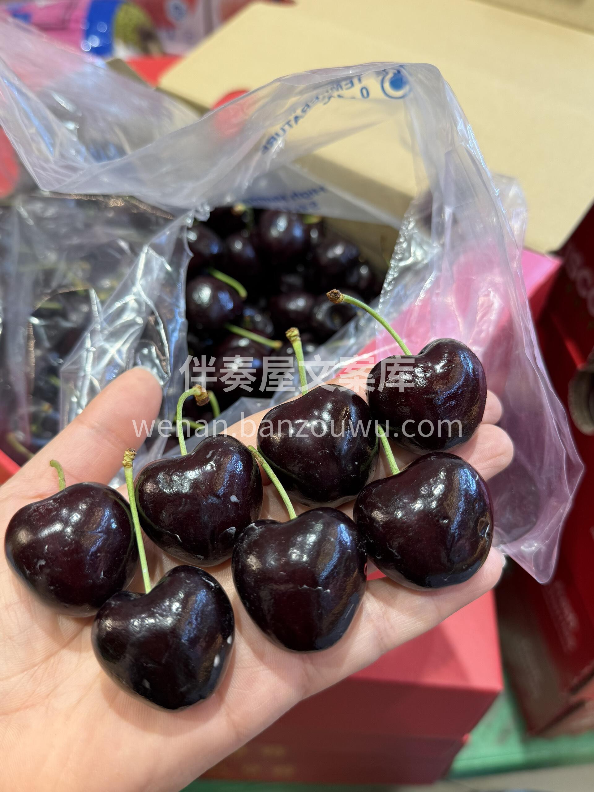 空运桑提娜车厘子除了品质💎，我没什么能给 配图3