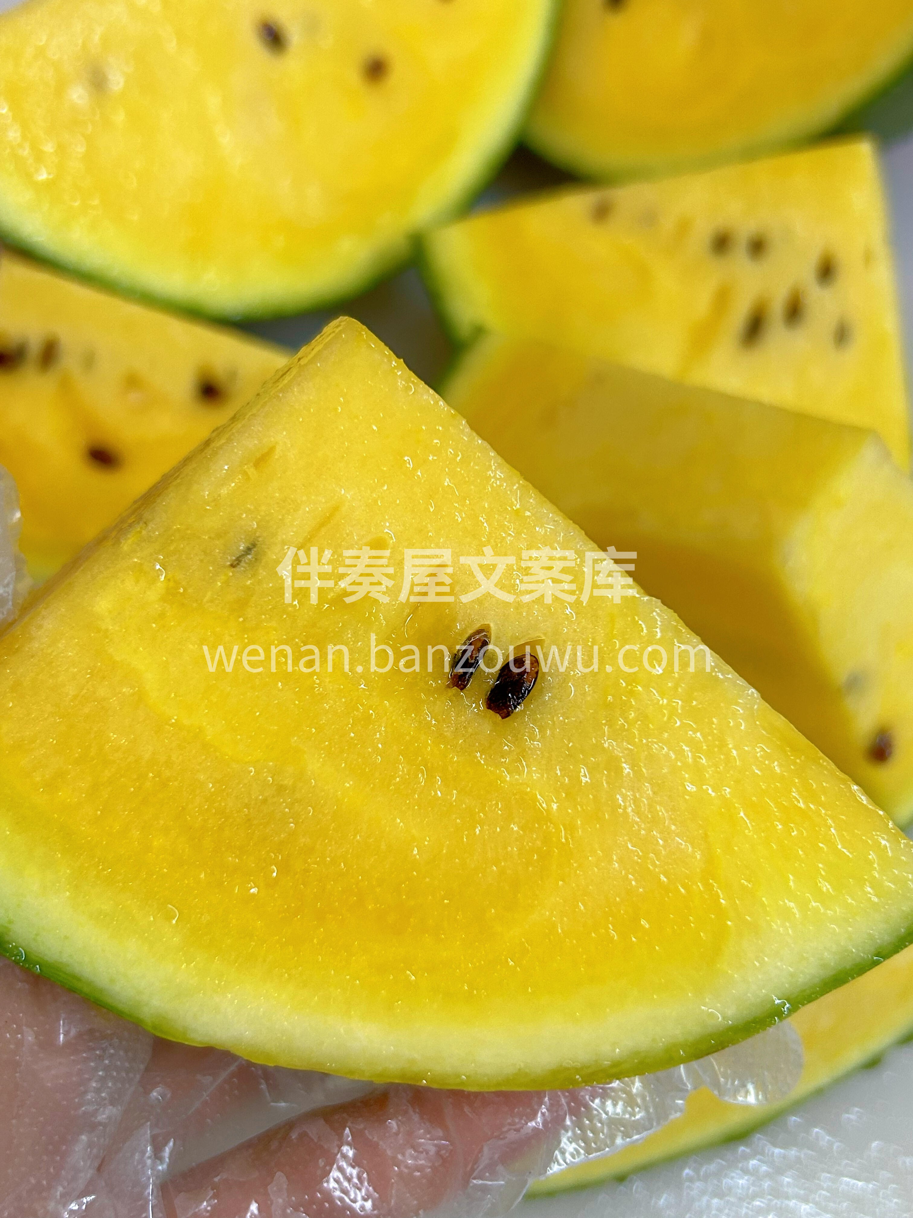 💛🍉吃瓜福利‼️ 🈶️【特小凤西瓜】，小 配图3