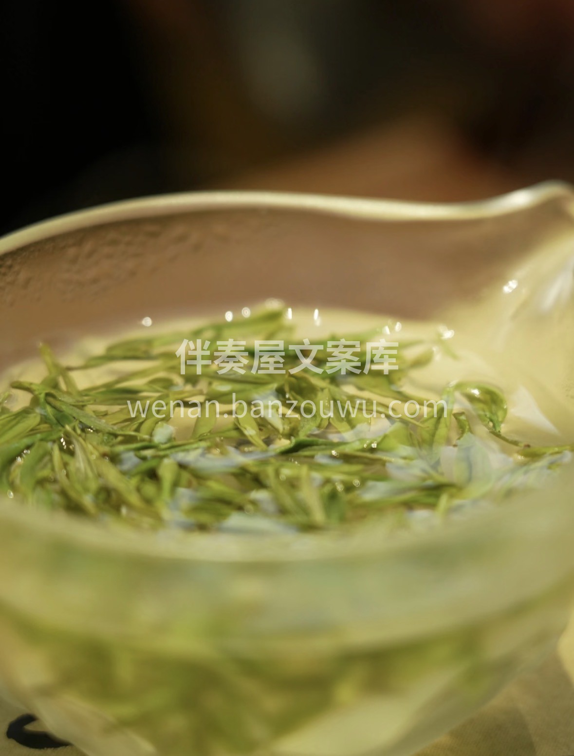新年送礼不踩雷，信阳毛尖安排上！🍵鲜爽回 配图2