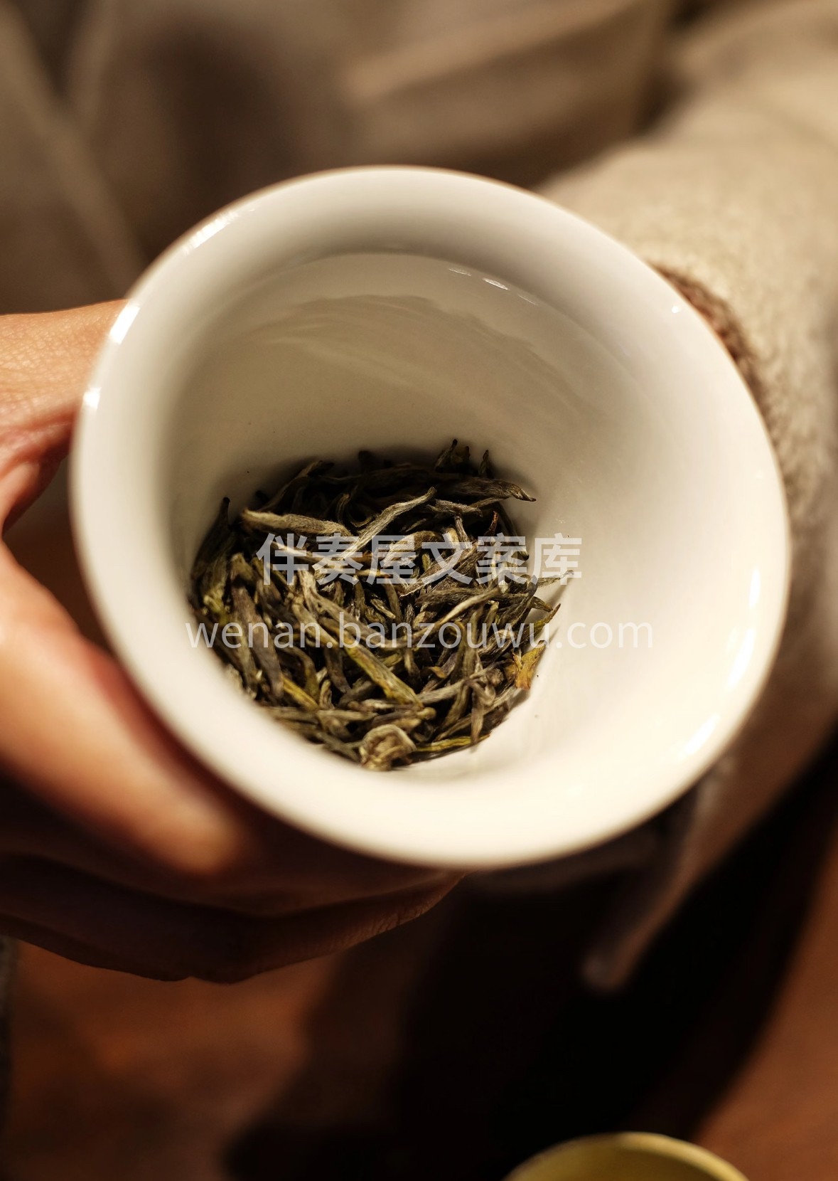 蒙顶黄芽新沏，看叶芽在水中缓缓起舞。汤色 配图2