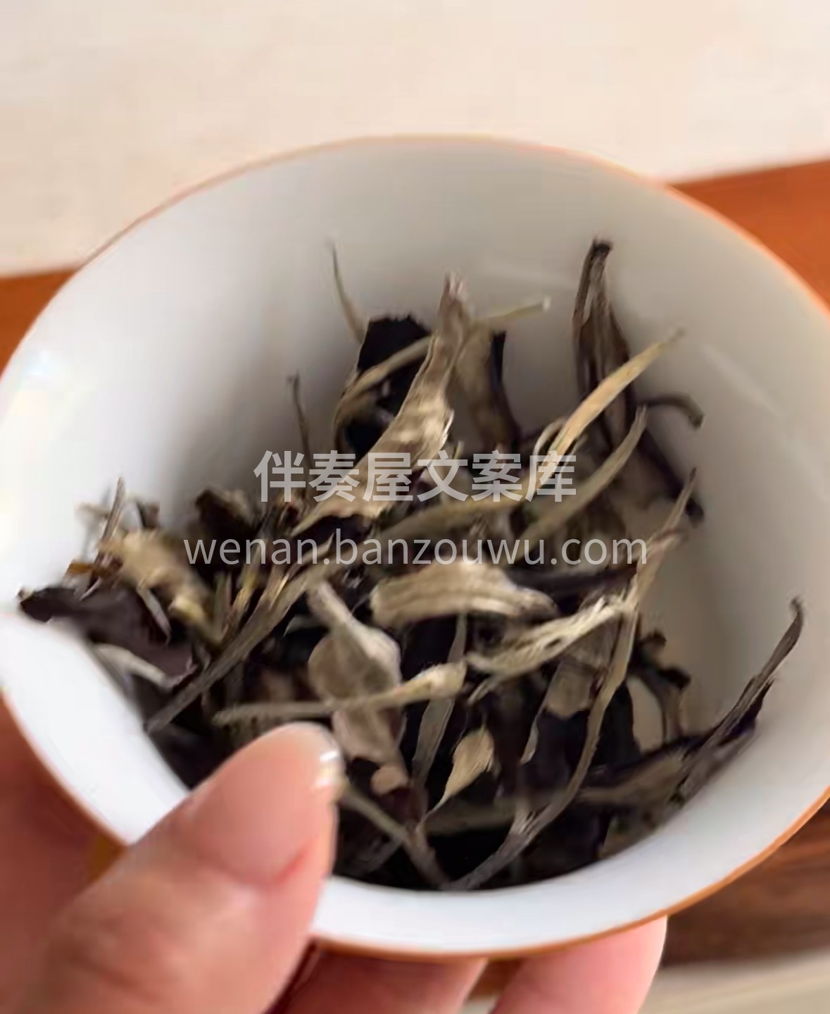 云南月光白，自带清辉的茶中诗意。银白毫毛 配图2