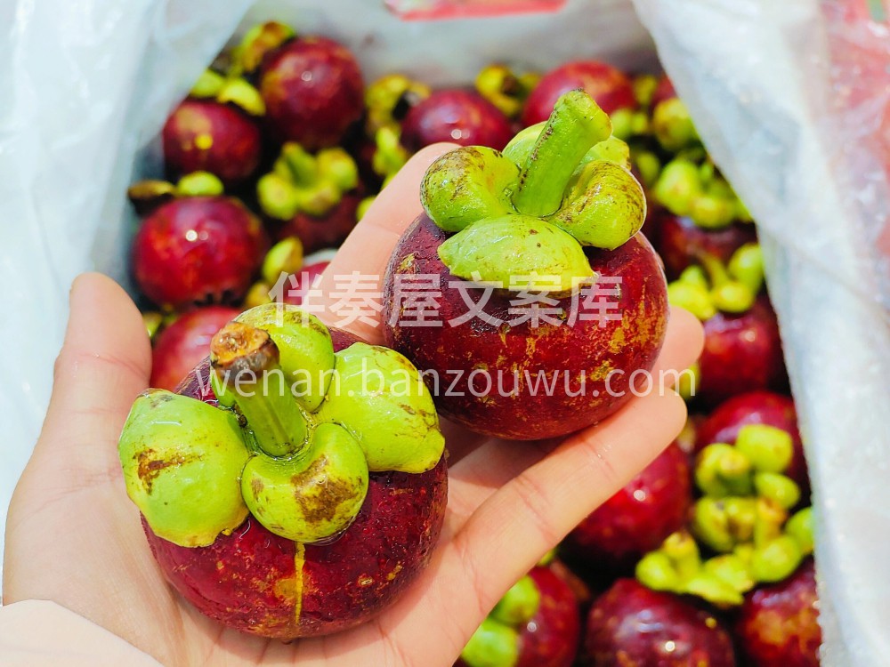👉这个干燥的季节，吃点清甜的山竹去去燥吧 配图1
