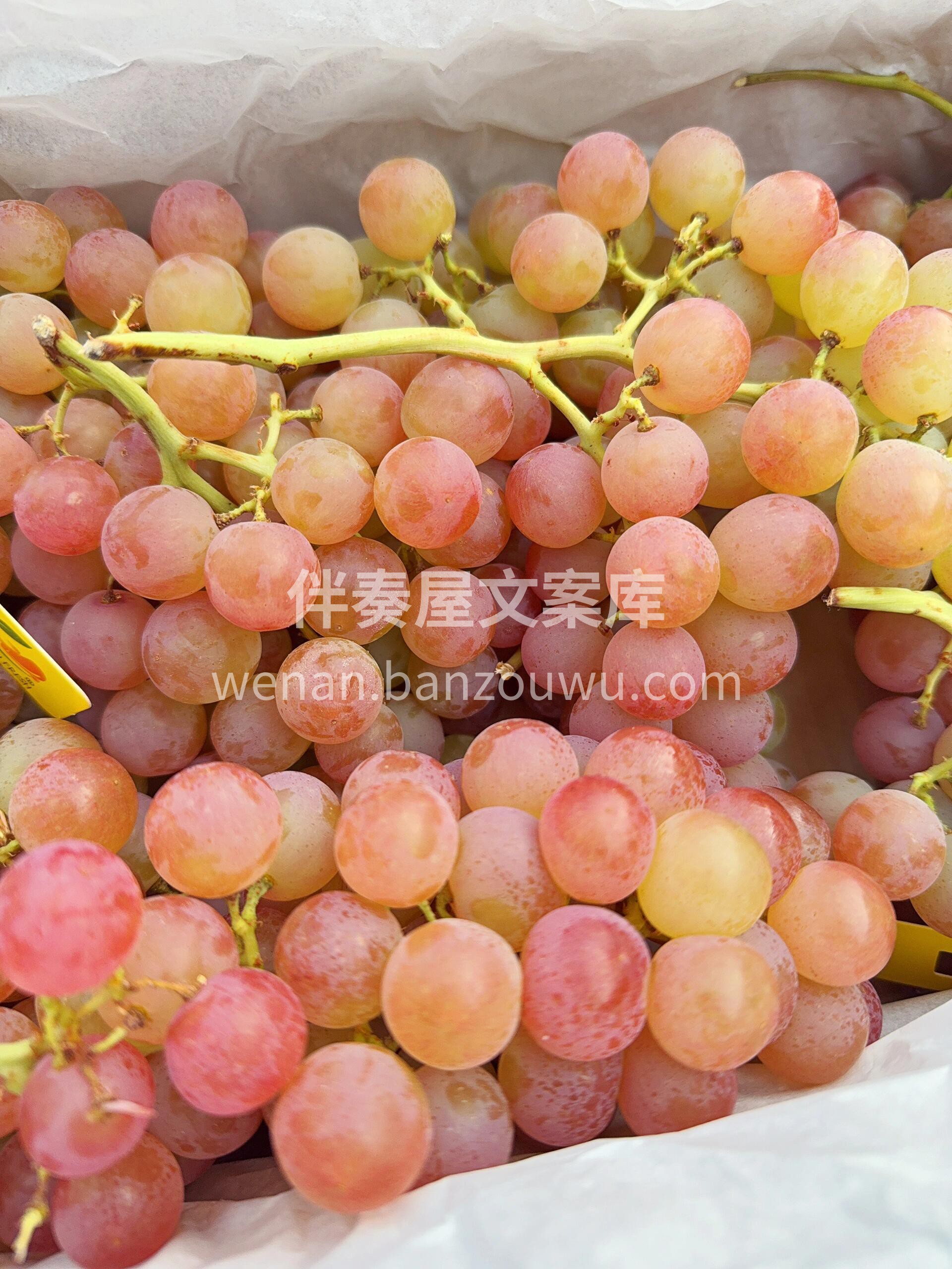 荔枝香，顶级“红宝石”❤️ 皮薄，无籽， 配图2