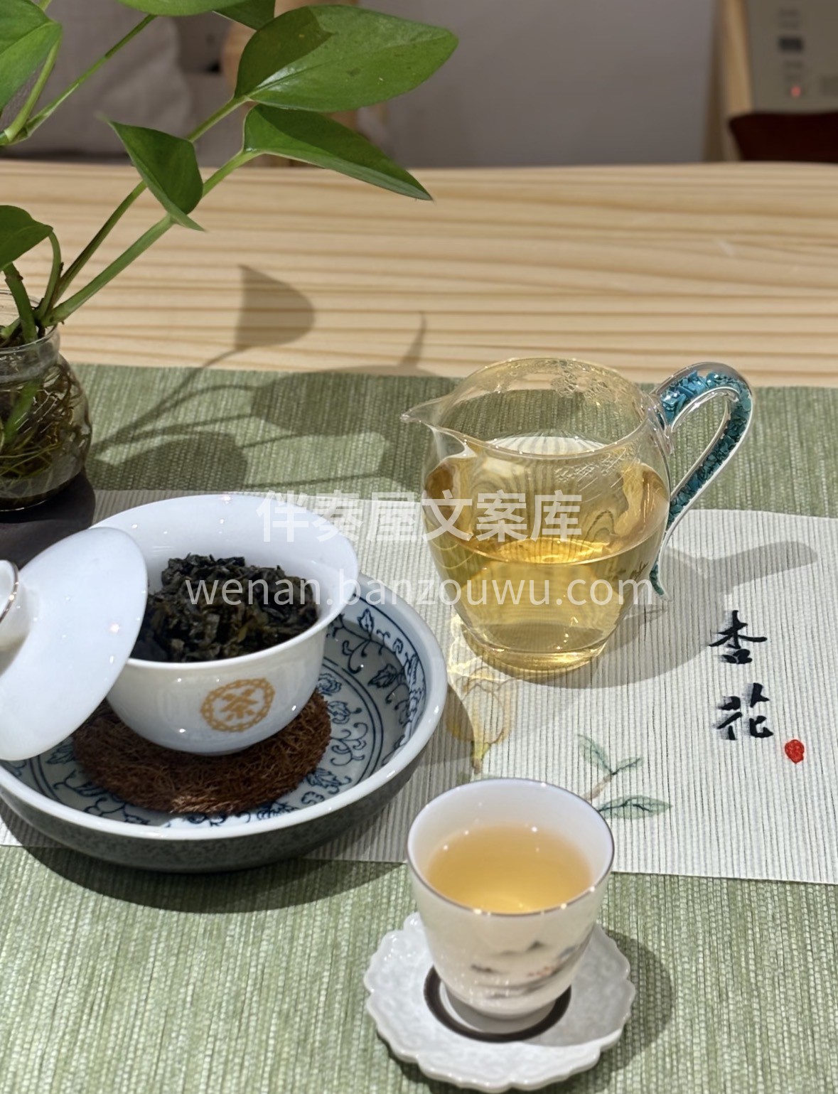 喝过这杯铁观音，才知道什么叫“观音韵”！ 配图1