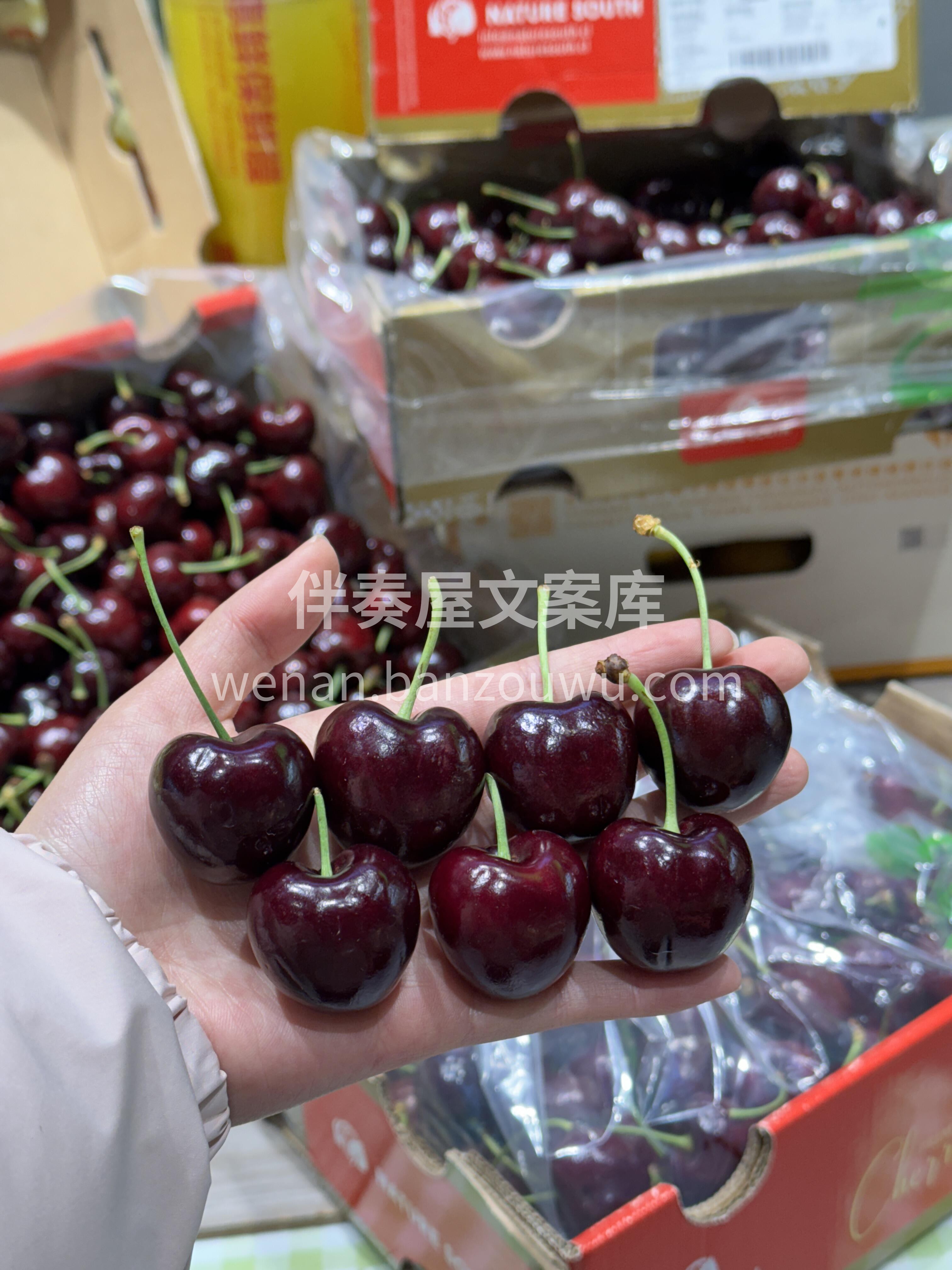 往后余生，向内求 把自己的生命照顾好，  配图2