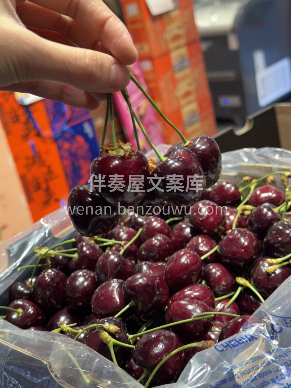 大长腿 _科迪亚Kordia🍒车厘子中排 配图1