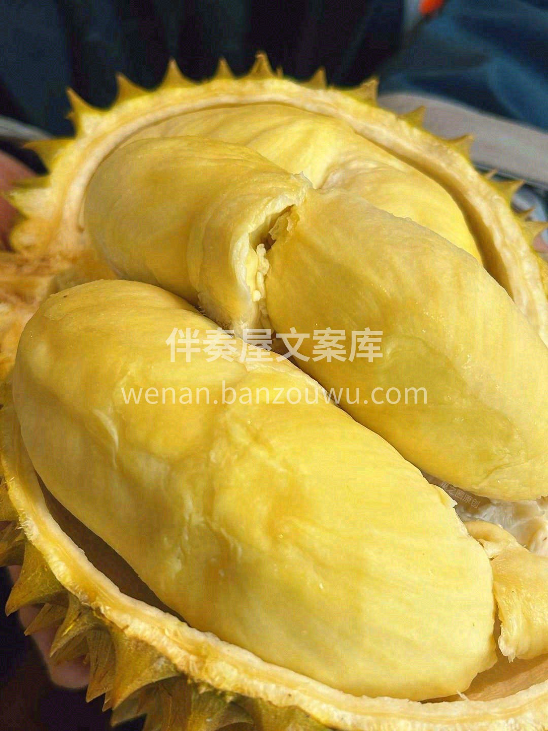 周末是生活的暂停键⏸️ 关掉闹钟，瘫在沙发上🛋️ 一边刷剧一 配图5