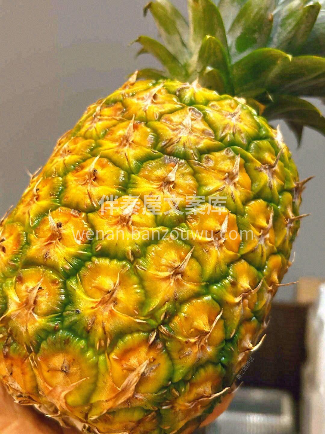 🍍菲律宾凤梨香甜超治愈！ 果肉金黄嫩滑， 配图3