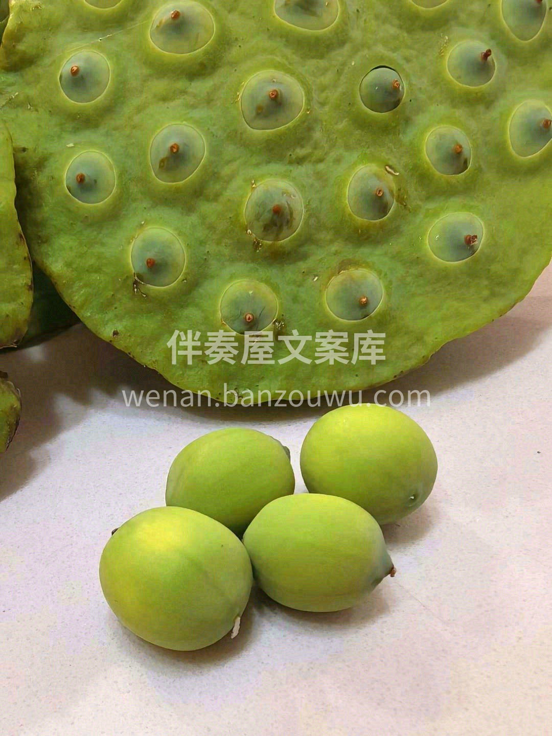 🔅炎热的午后，剥开几颗鲜嫩的青莲子🌷 当 配图1