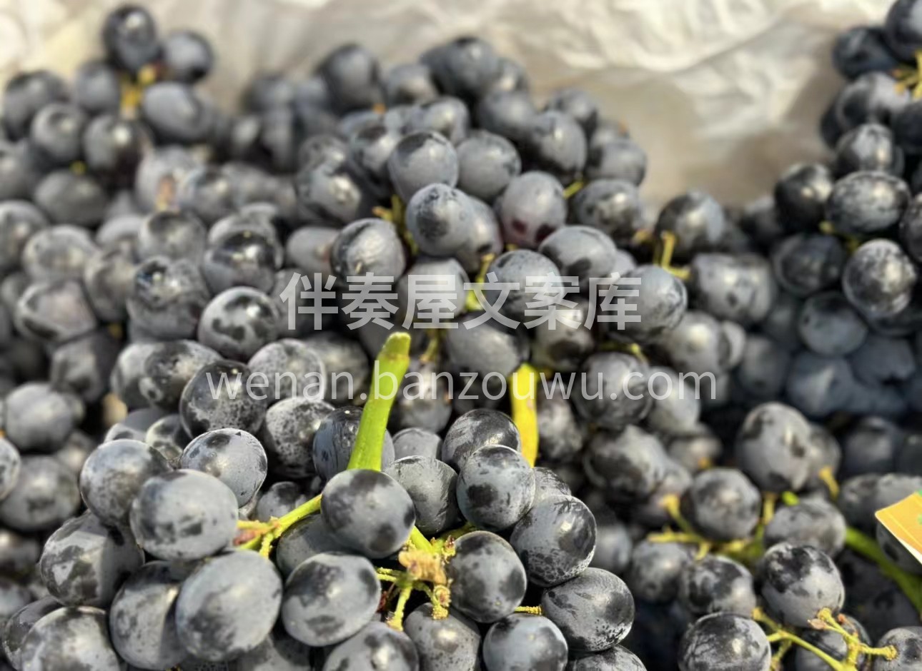 玫瑰香葡萄，甜度爆表📈皮薄多汁，带有一种 配图3