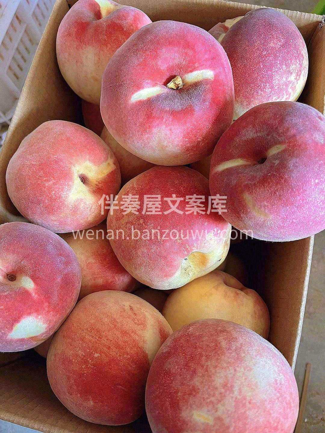 金秋蜜桃🍑，给您夏天都无法得到甜蜜口感🍨 配图2