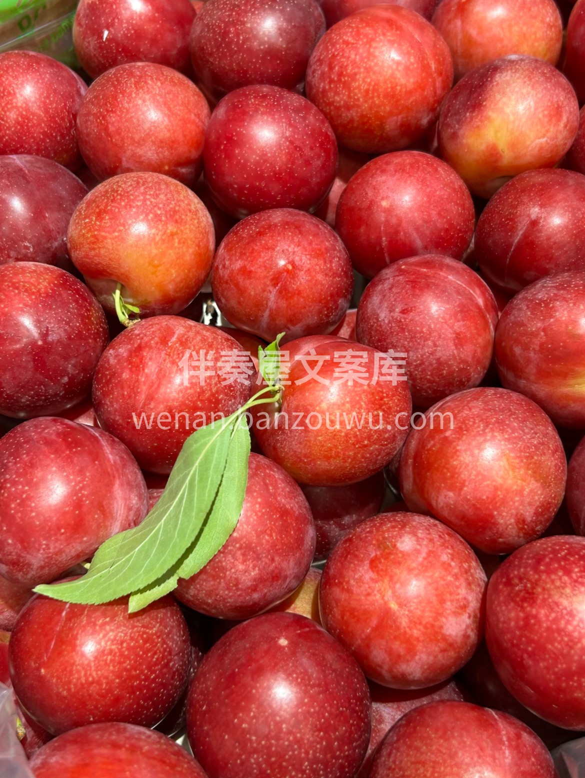 💕樱桃李来咯🍒 粉嫩嫩的表皮上，泛着透亮 配图3