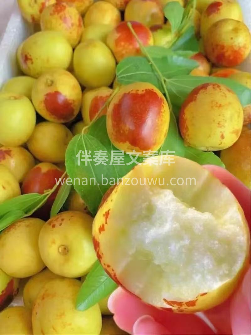 ✨今日份维C炸弹已就位✨ 是谁的秋冬快乐 配图2