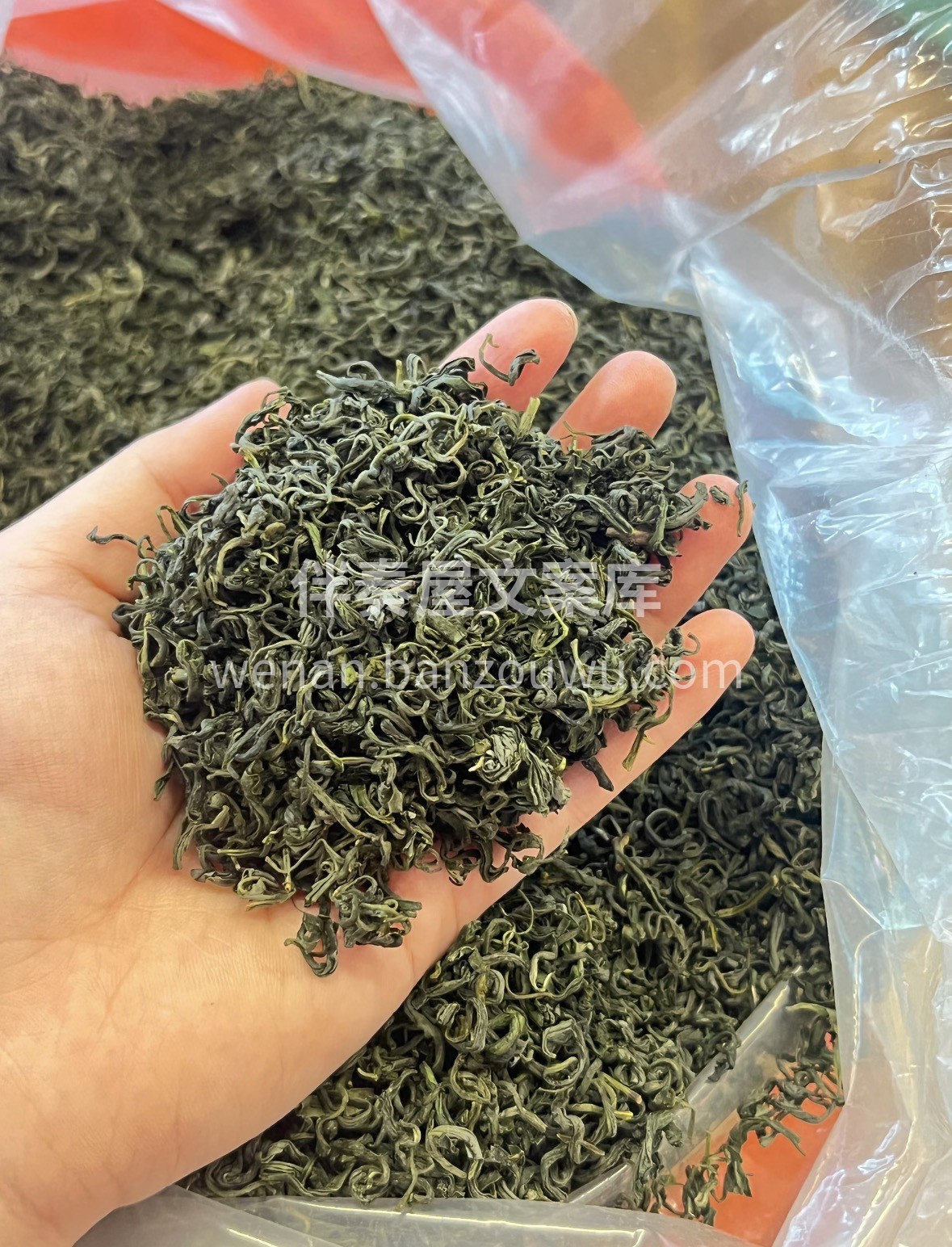 云雾绿茶冬日❄️ 高山云雾滋养的鲜爽绿茶 配图1