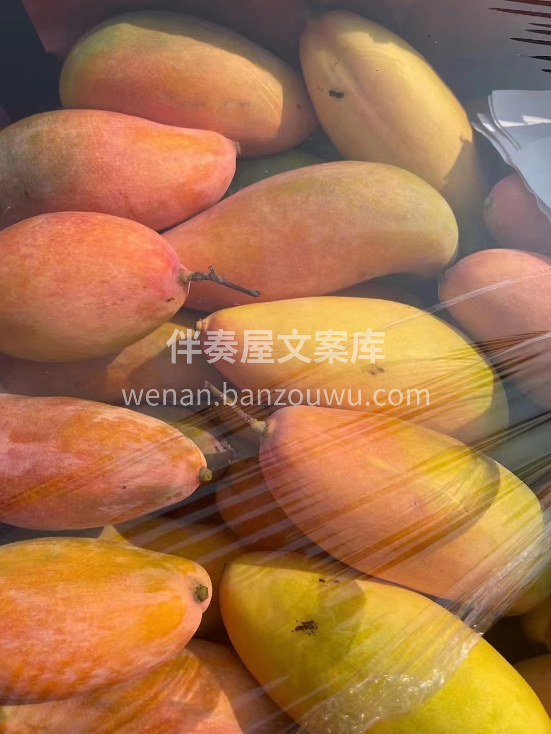 🥭芒果控看过来😍甜到心坎的象牙芒♥️ 一 配图3