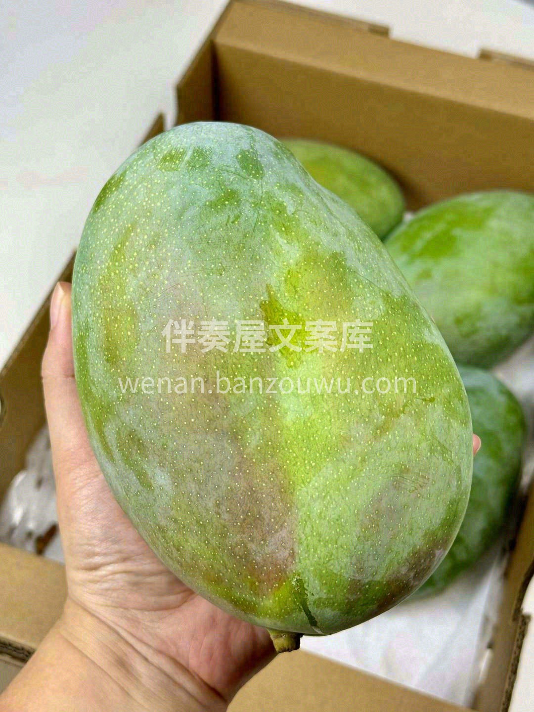 “大脸芒”其貌不扬✊，切开后却令人惊喜😻 配图3