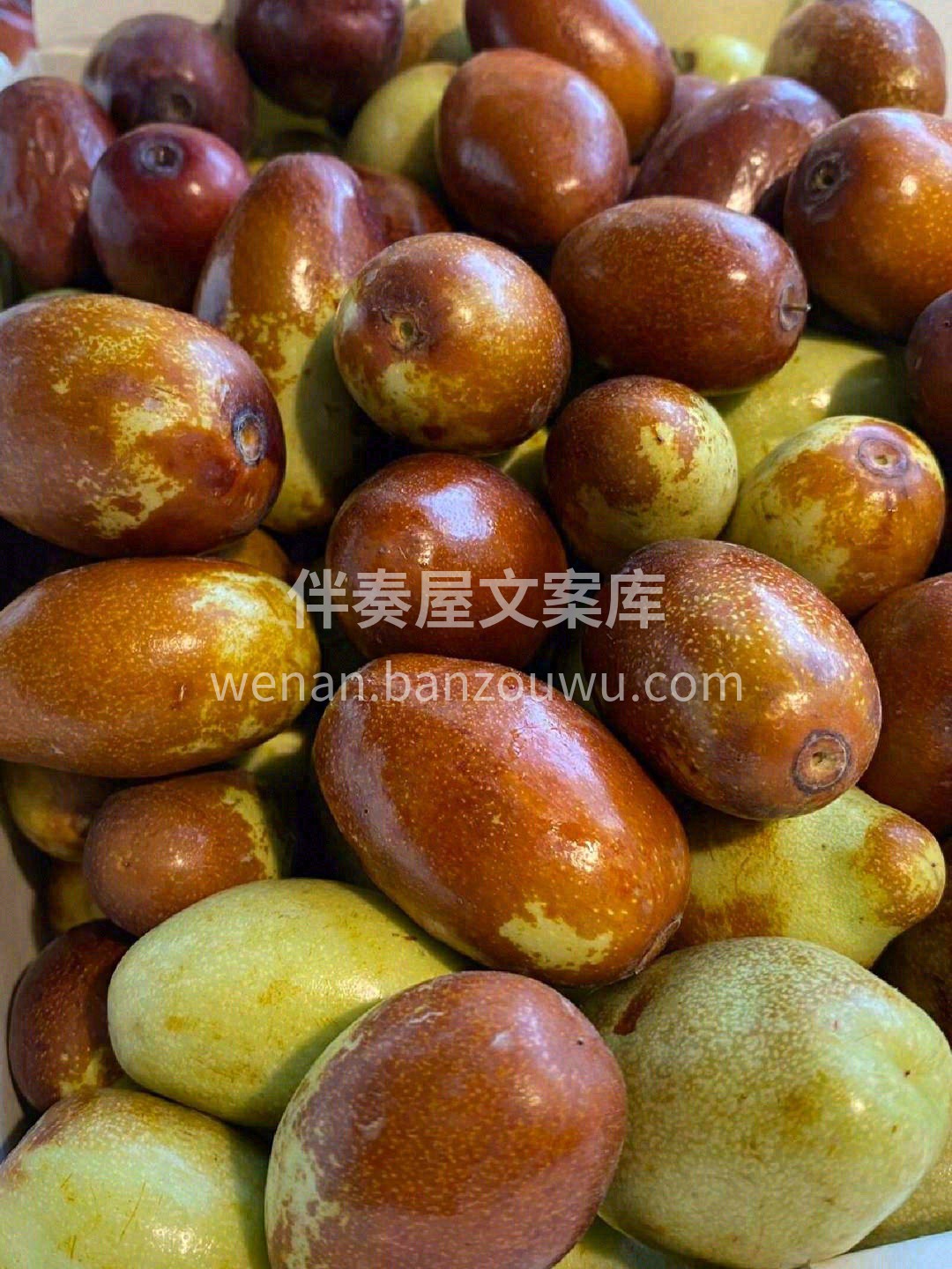 🌈夏天的甜蜜记忆，马牙枣也应该拥有一席之 配图1