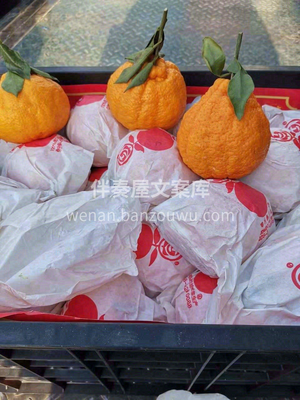 四川不知火丑橘🍊 不靠颜值的实力派👍，口 配图3