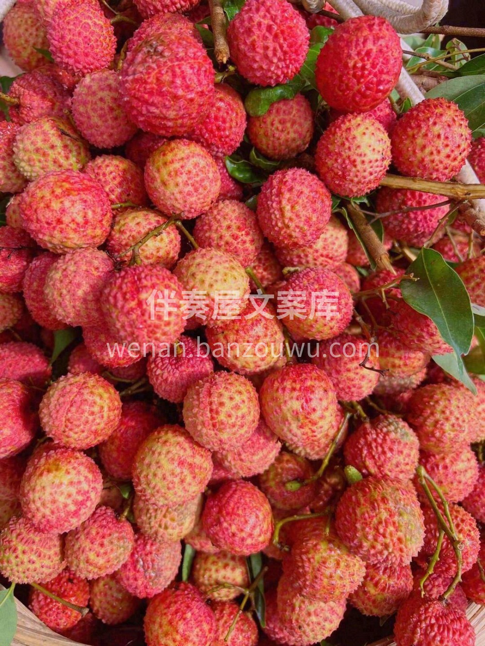 桂味荔枝💚作为荔枝中的上等佳品👑因具桂花 配图1