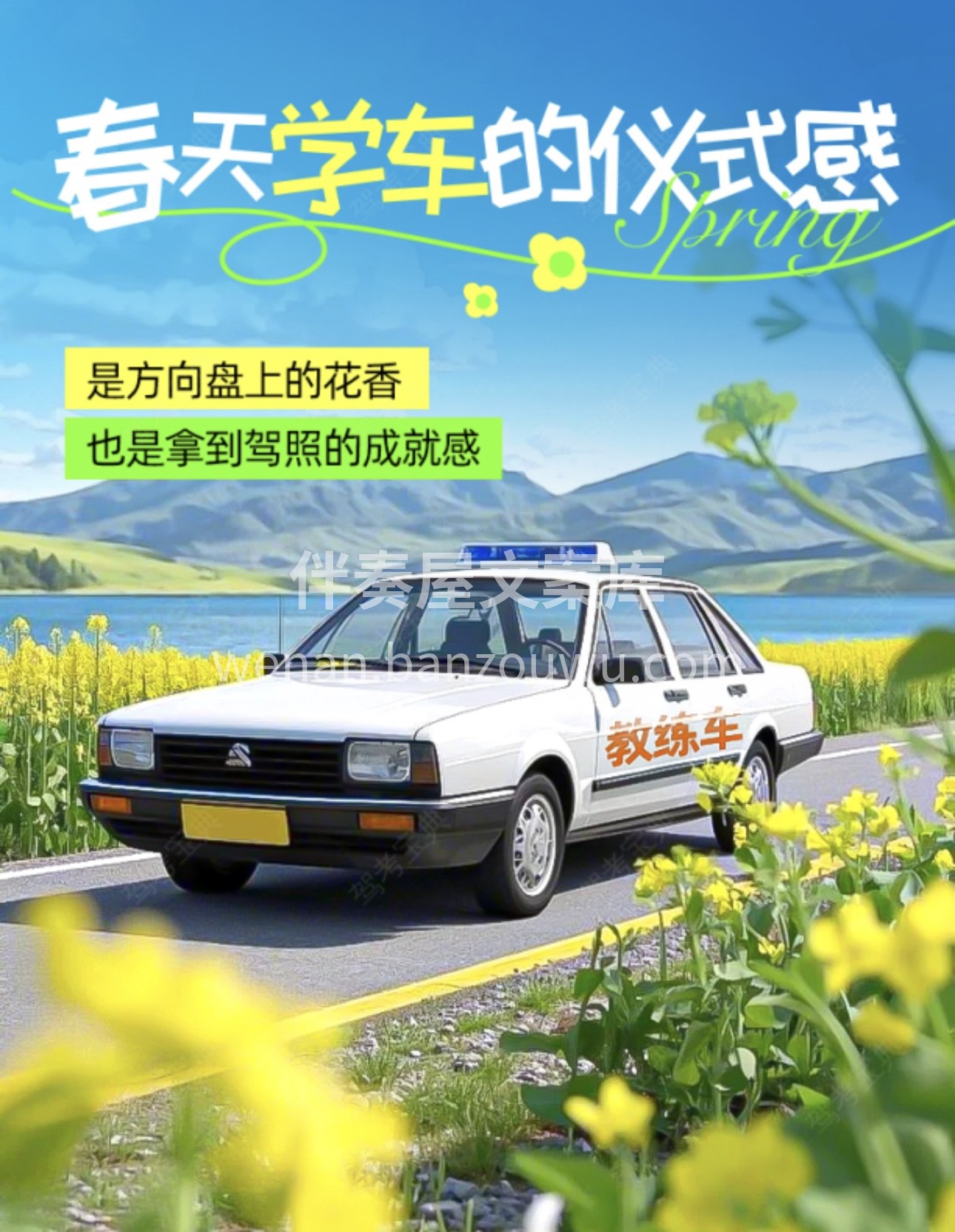 🌱春日学车的仪式感 🌸是练车时飘落肩上的
