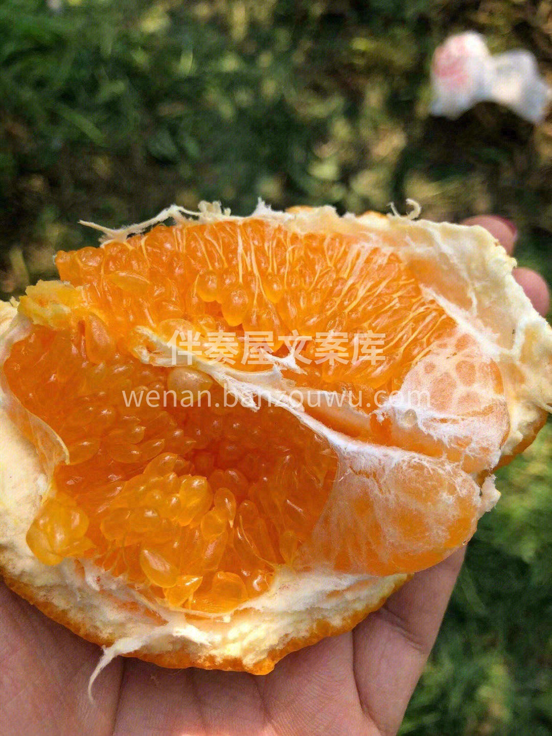🌦扛得住冬天的寒冷，才能成为整个冬日最甜 配图2