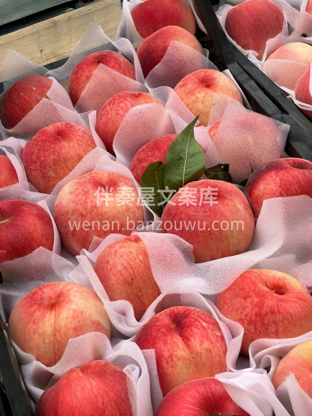 桃子🍑自由，你还不来吗？ 夏日水蜜桃盛宴 配图3