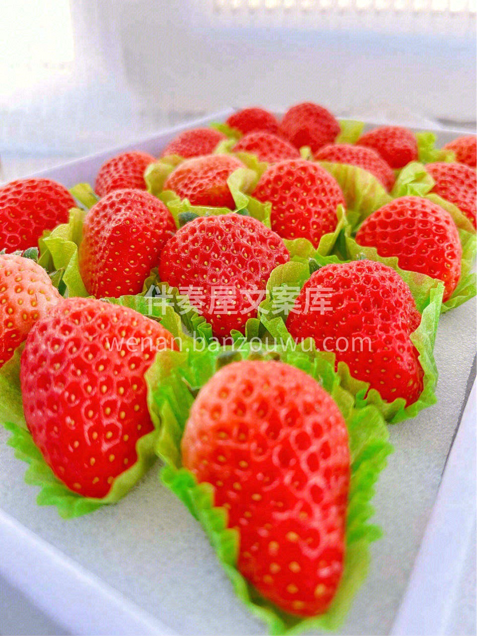 🧡拥有红宝石般色彩，果肉甜美多汁💦 饱满 配图2