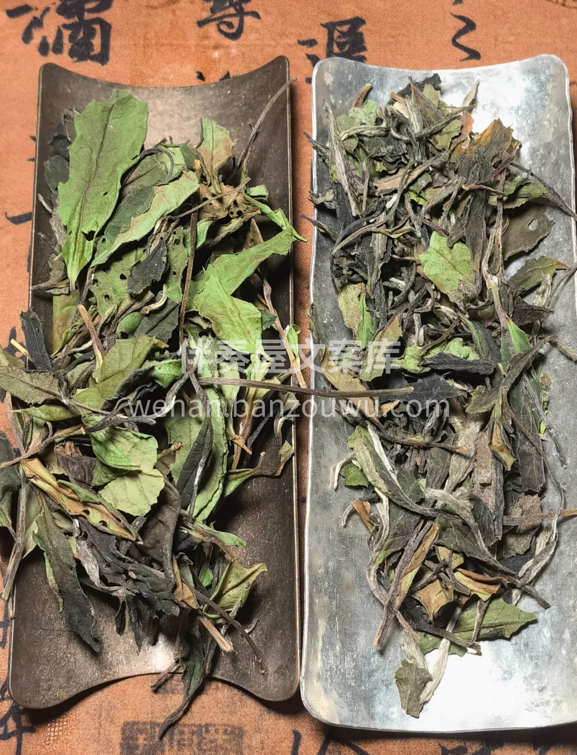 贡眉白茶｜岁月沉淀的清甜 月光白毫缀芽叶 配图1