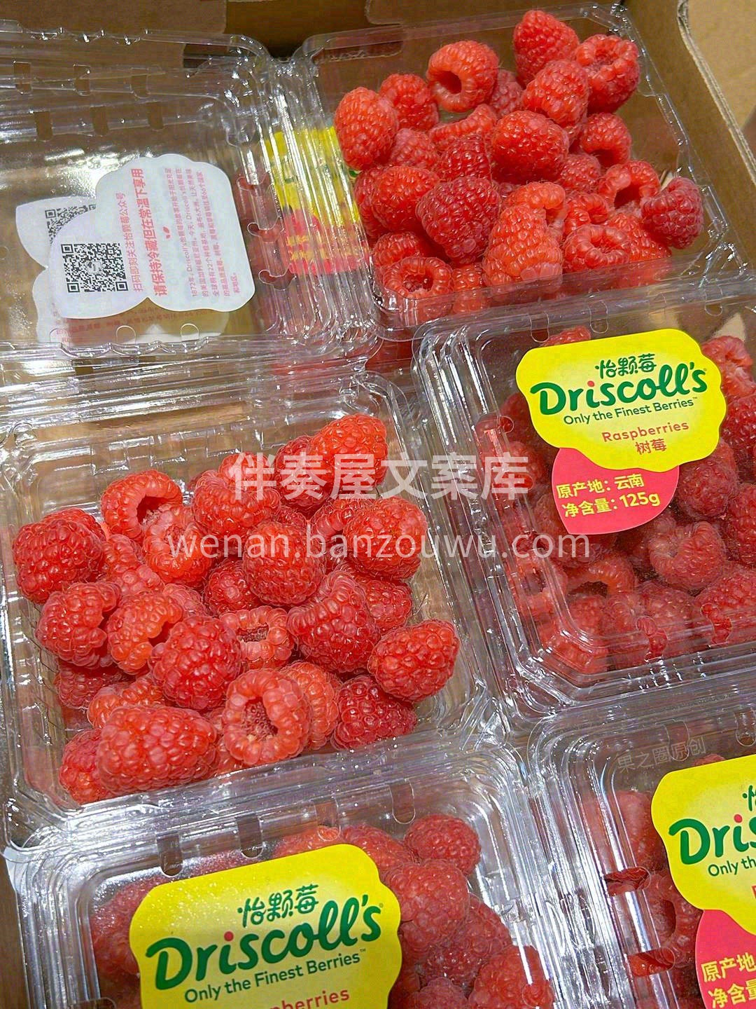 怡颗莓红树莓，酸甜小清新，果体饱满密实， 配图1