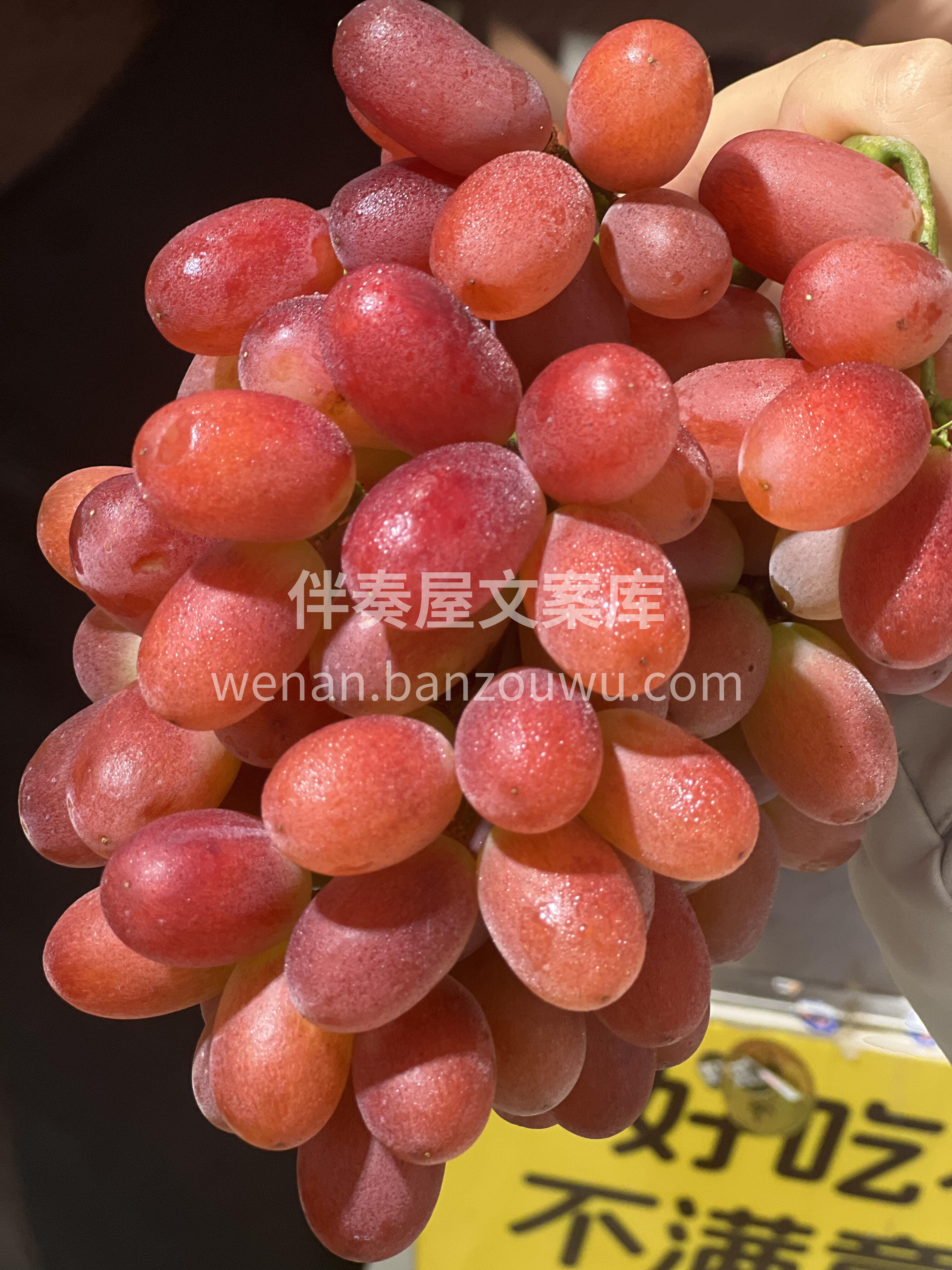 水果选择困难😖不存在的！ 红的草莓🍓黄的 配图3
