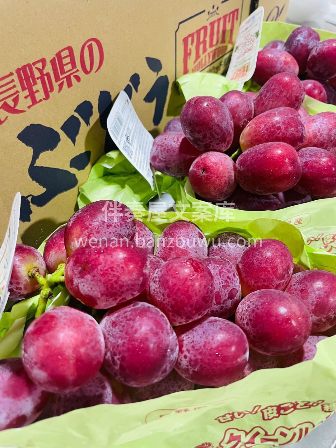 胭脂皇后妃红提👑🍇 每年仅微量登场的天花 配图3