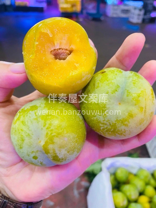 周日☀️早安～☕️ ⁺₊ 𝑯𝒂𝒑𝒑𝒚·🖐🏻ˁ῁̮ˀᖴᖇIᗪᗩ 配图4